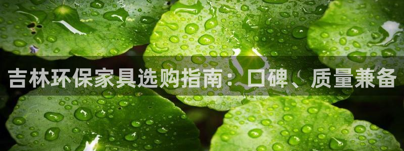 杏耀平台怎样