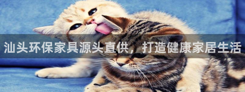 杏耀平台代理
