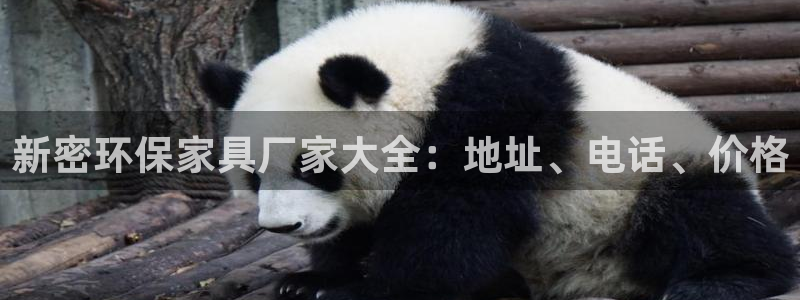 杏耀平台网站是什么