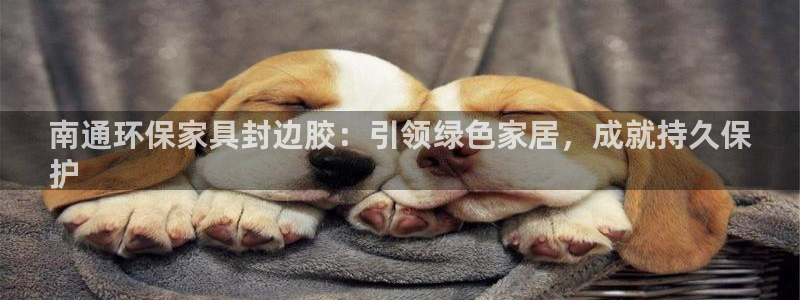 杏耀代理连接