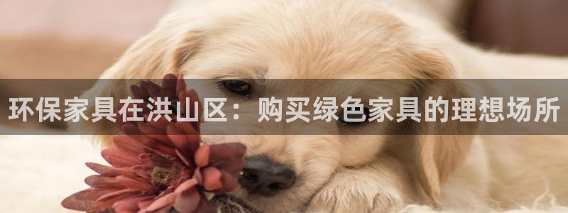 杏耀开户app下载