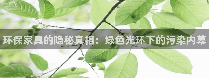 杏耀登陆线路