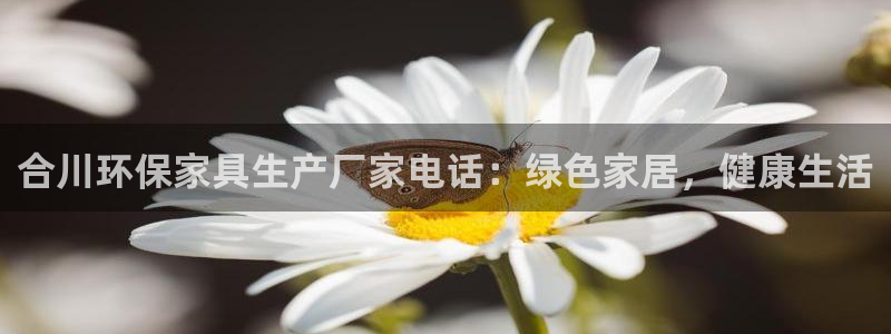 杏耀平台注册