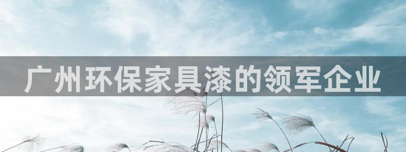 杏耀代理日工资多少