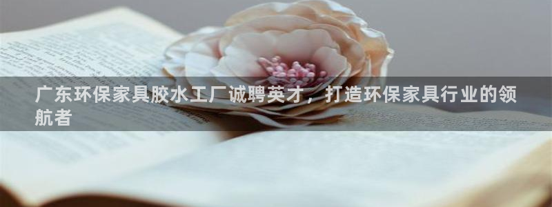 杏耀平台注册会员
