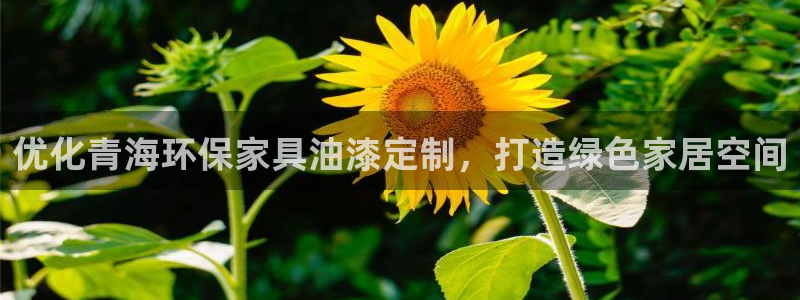 杏耀注册代理