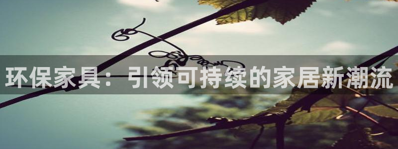 杏耀代理注册开户