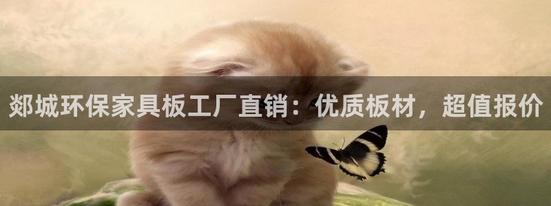 杏耀注册网址
