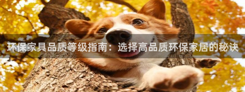 杏耀平台注册网址