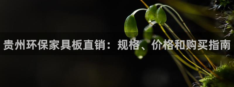 杏耀平台官方网站