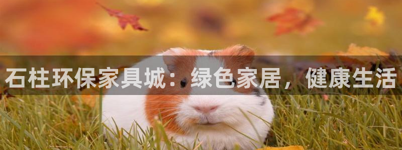 杏耀官网游戏