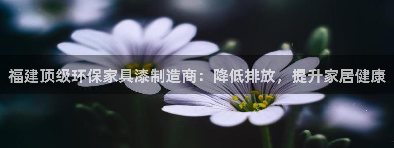 杏耀登入官网：福建顶级环保家具漆制造商：降低排放，提升家居健