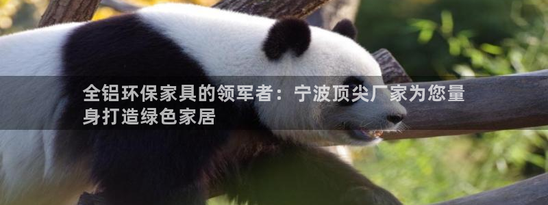 杏耀手机客户端：全铝环保家具的领军者：宁波顶尖厂家为您量
身