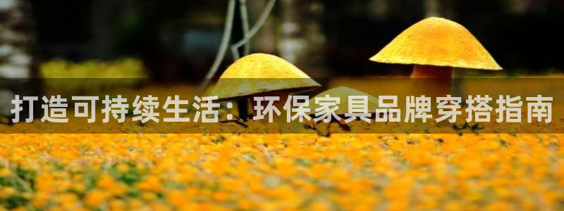杏耀平台没有了：打造可持续生活：环保家具品牌穿搭指南