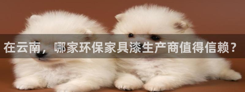 杏耀平台指定：在云南，哪家环保家具漆生产商值得信赖？