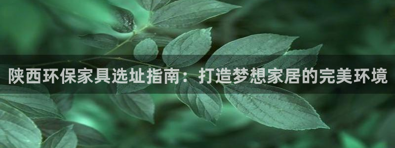 杏耀软件：陕西环保家具选址指南：打造梦想家居的完美环境
