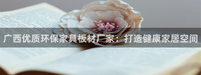 杏耀平台官网登录：广西优质环保家具板材厂家：打造健康家居空间
