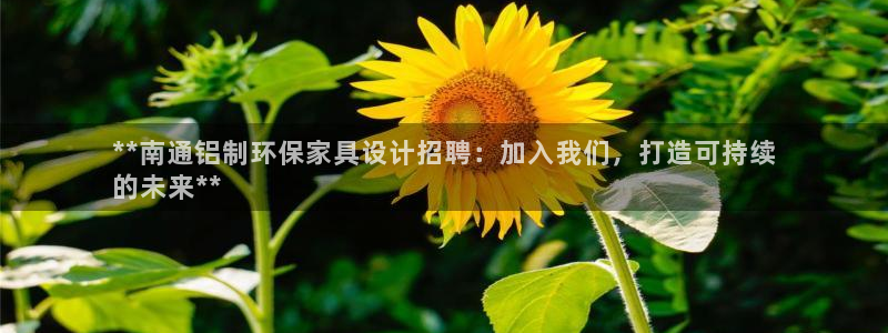 杏耀官网游戏：**南通铝制环保家具设计招聘：加入我们，打造可
