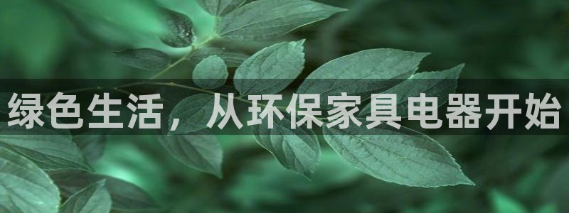 杏耀平台主管