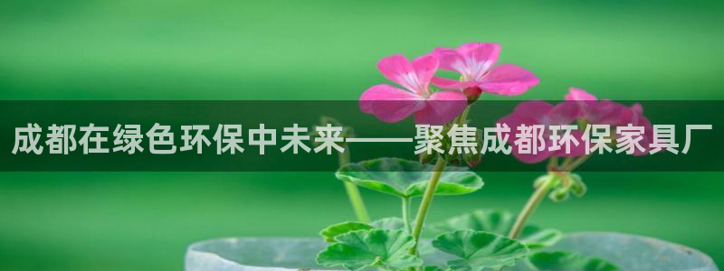 杏耀平台黑款