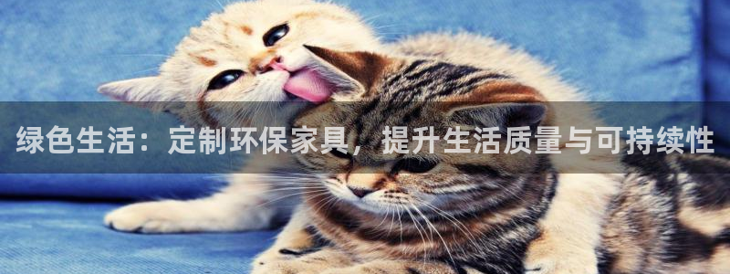 杏耀平台代理登录网址查询：绿色生活：定制环保家具，提升生活质
