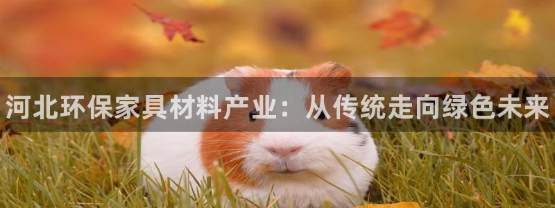 杏耀平台服务中心怎么样