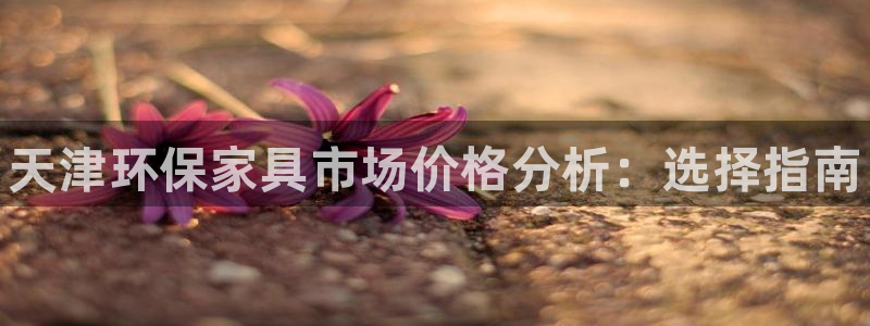 杏耀平台客服：天津环保家具市场价格分析：选择指南