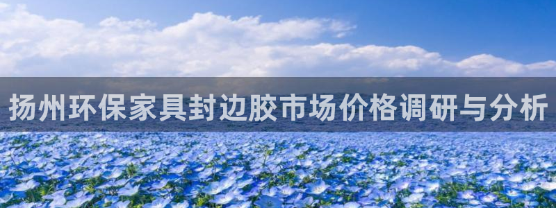 杏耀平台到底能玩吗：扬州环保家具封边胶市场价格调研与分析