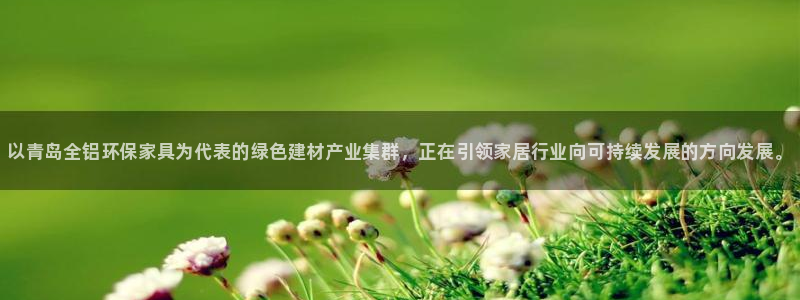 杏耀平台登陆官网：以青岛全铝环保家具为代表的绿色建材产业集群