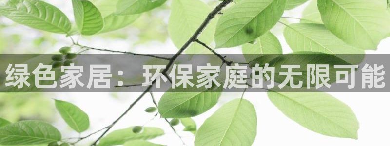 杏耀平台代理怎么赚钱的