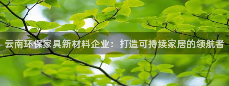 杏耀平台线路：云南环保家具新材料企业：打造可持续家居的领航者