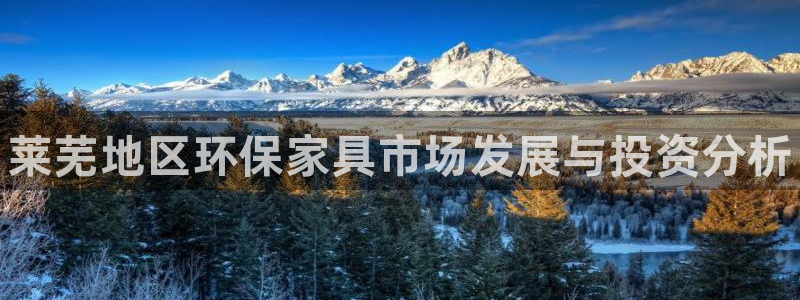 杏耀测速登录地址：莱芜地区环保家具市场发展与投资分析