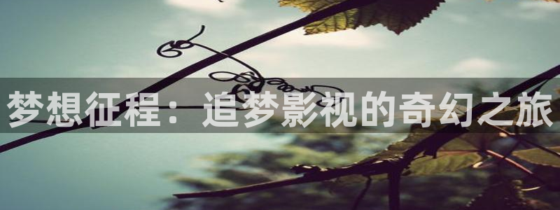 4k蓝光电影资源免费：梦想征程：追梦影视的奇幻之旅